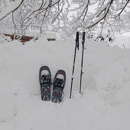 Rauthhof Pitztal アパート