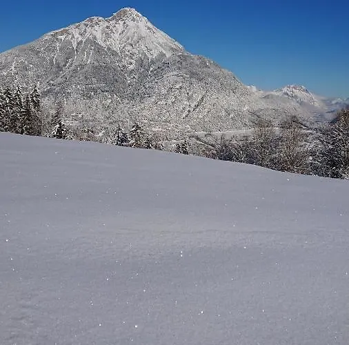 Rauthhof Pitztal アパート *