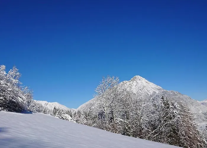 アパート Rauthhof Pitztal *