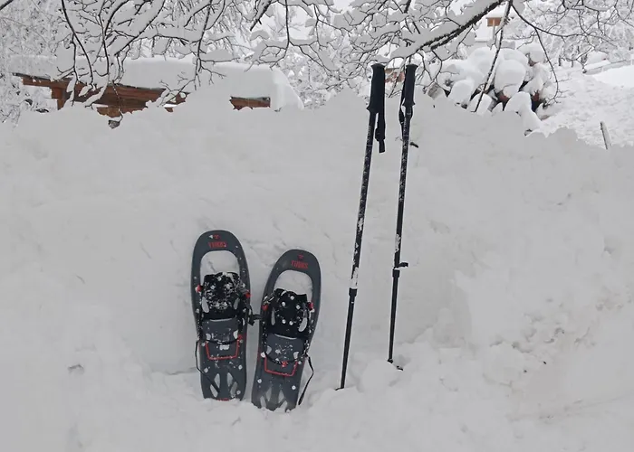 Rauthhof Pitztal アパート