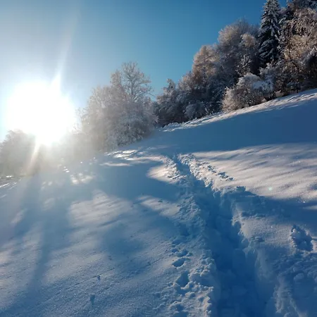 Rauthhof Pitztal شقة ارزل ام بيتزتال